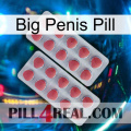 Big Penis Pill 19